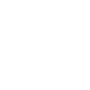 AI Icon